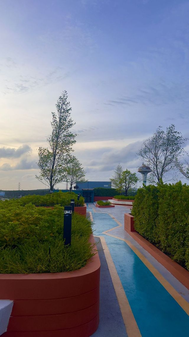 WhatsApp Image 2025-10-05 at 19.22.50_57638472_0.jpg